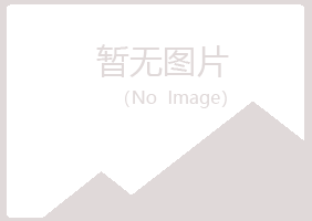 鹤山区白山银行有限公司